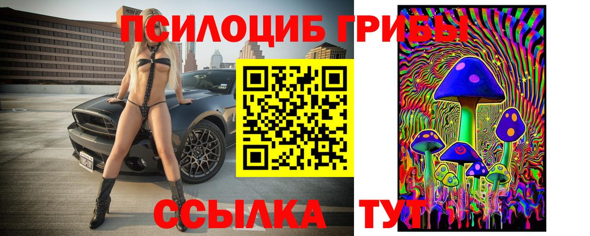 Галлюциногенные грибы Psilocybine cubensis Новоалтайск