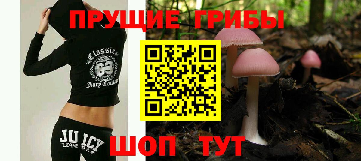 Новоалтайск  Галлюциногенные грибы Magic Shrooms  сколько стоит  Галлюциногенные грибы MAGIC MUSHROOMS  Вход с VPN 